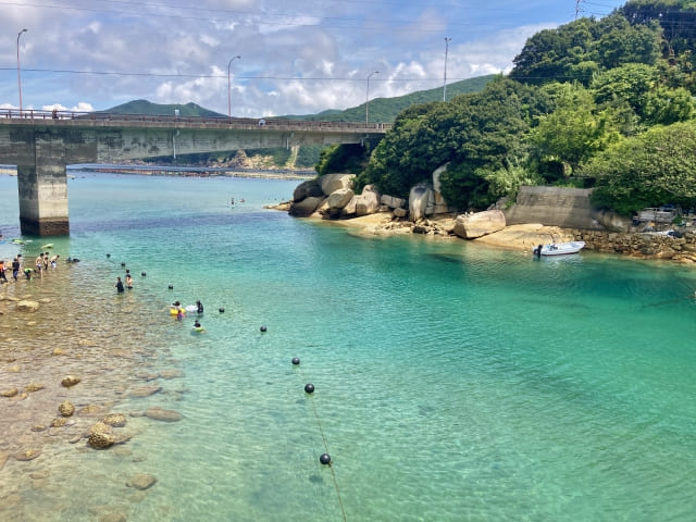 柏島では透明度の高い海を楽しめる