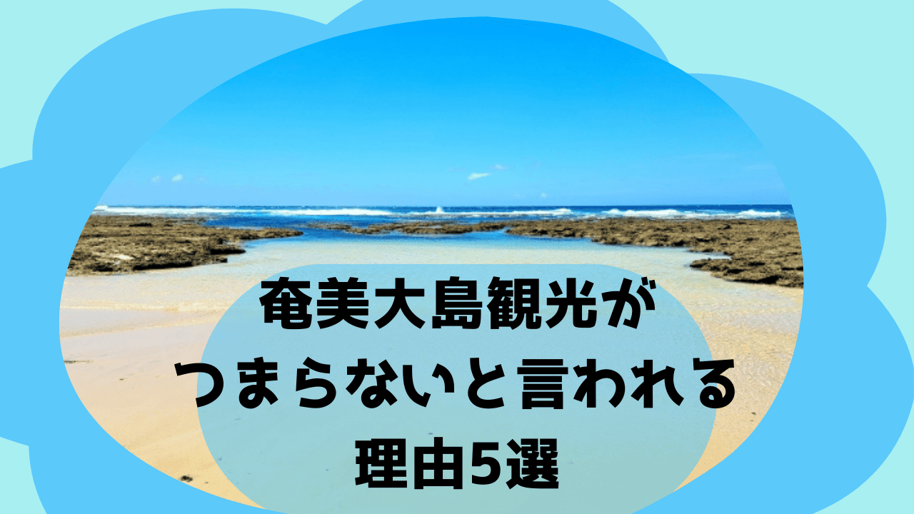 奄美大島観光がつまらない理由は天候に左右されるから？レンタカーがないと移動がきつい！時期によってはハブが多いからそもそも行かない方がいい